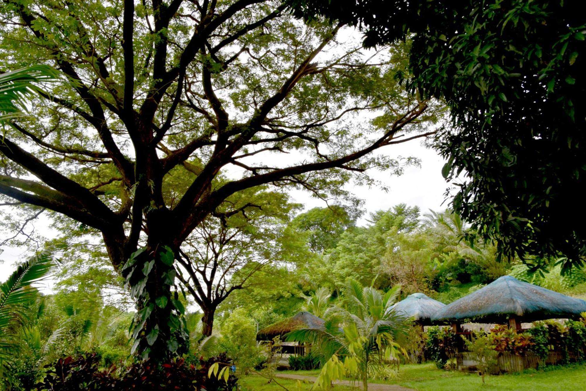 Isla De Oro Hotel Mamburao Exteriér fotografie